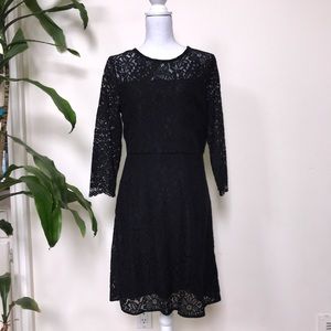 LOFT NWT Black Lace Overlay Cocktail Dress